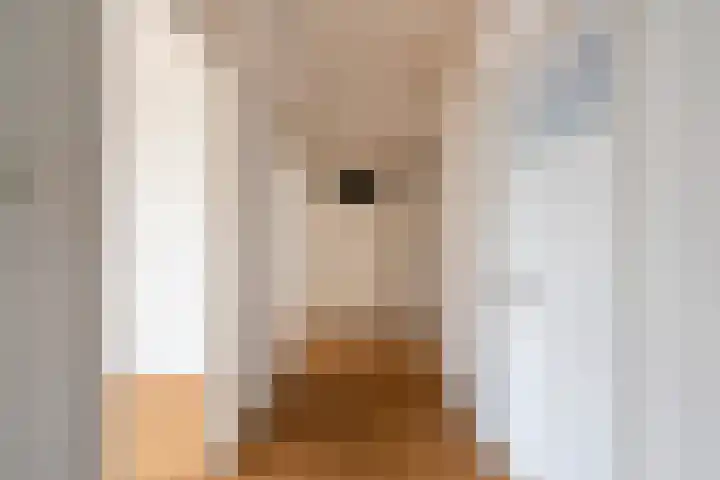 Isabellaland 916 Den Haag thumbnail 15