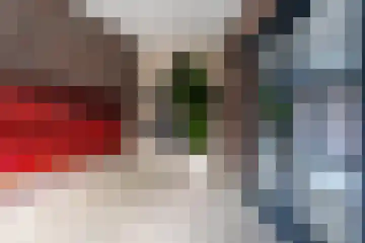 Isabellaland 916 Den Haag thumbnail 4