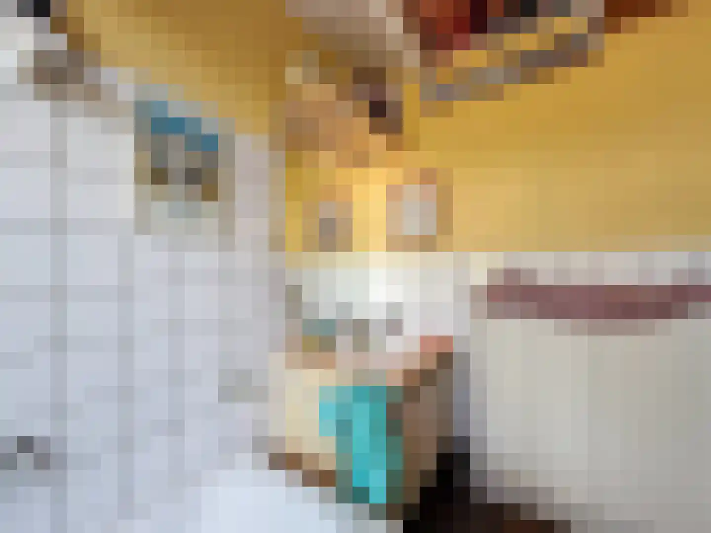 Isabellapolder 1 Aardenburg thumbnail 17