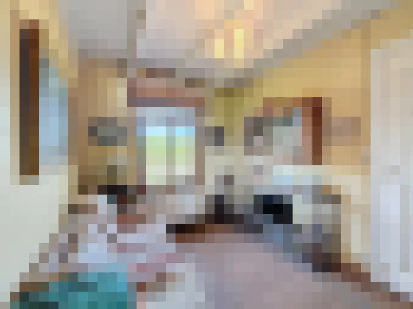 Isabellapolder 1 Aardenburg thumbnail 19