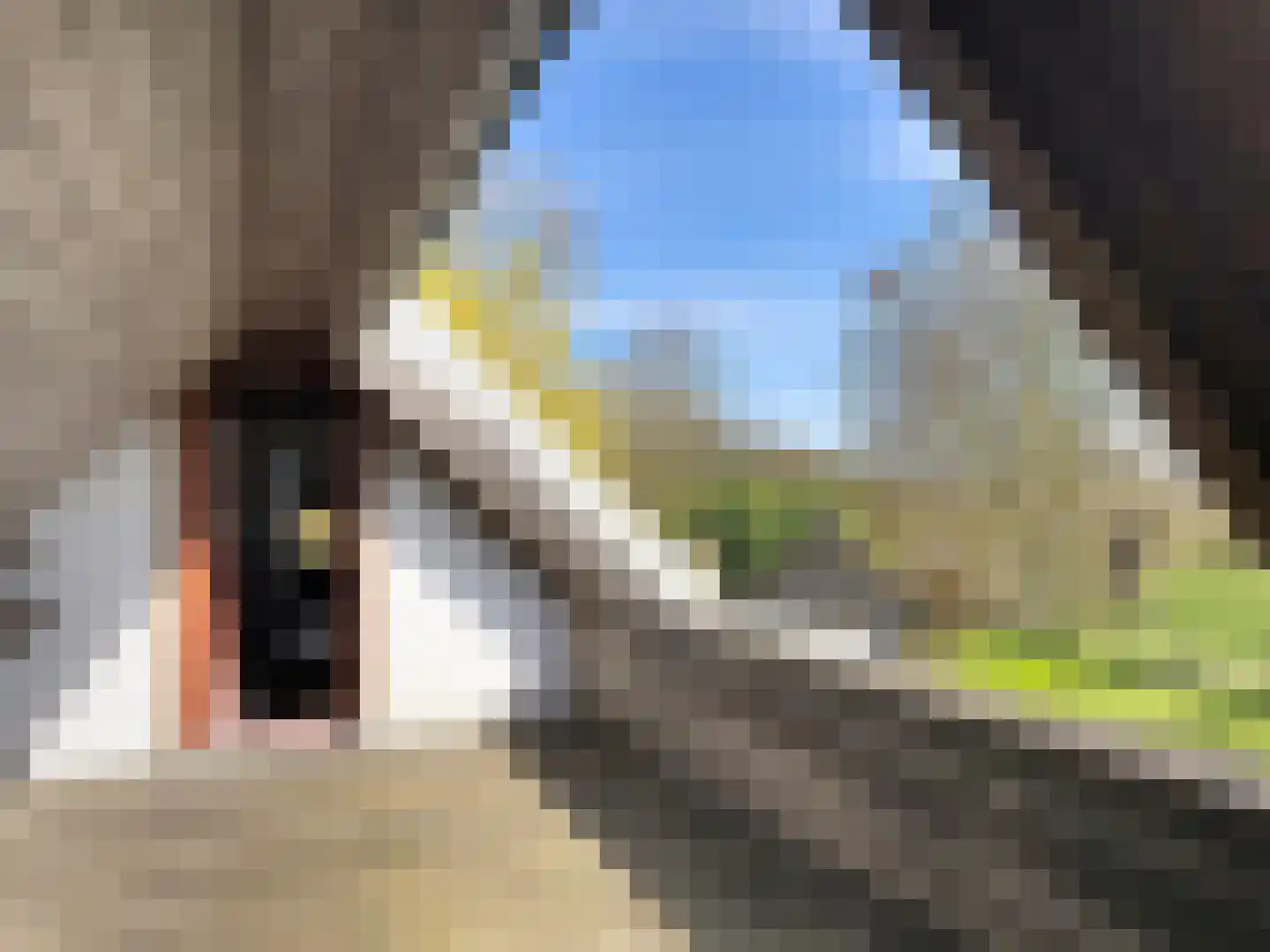 Isabellapolder 1 Aardenburg thumbnail 34