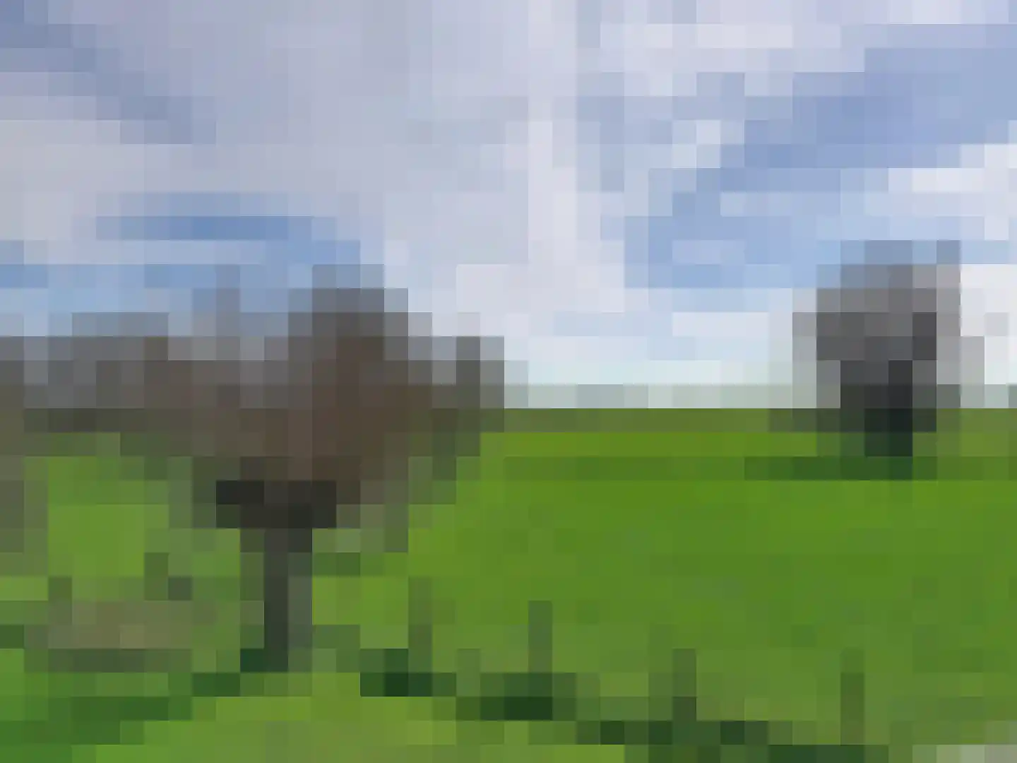 Isabellapolder 1 Aardenburg thumbnail 36