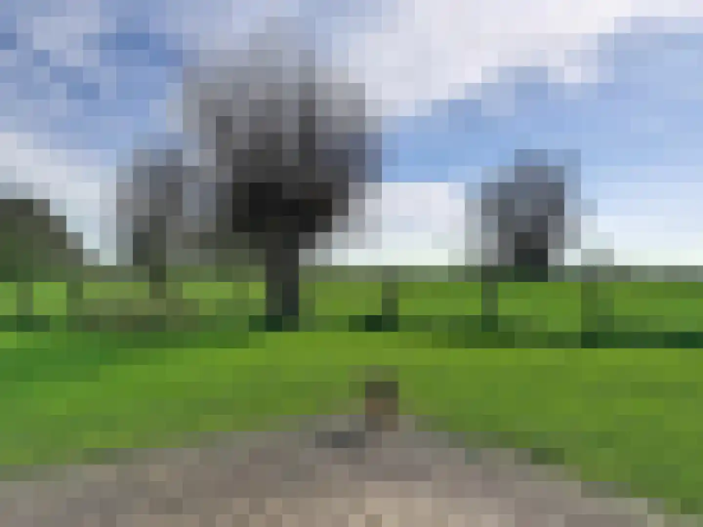 Isabellapolder 1 Aardenburg thumbnail 37