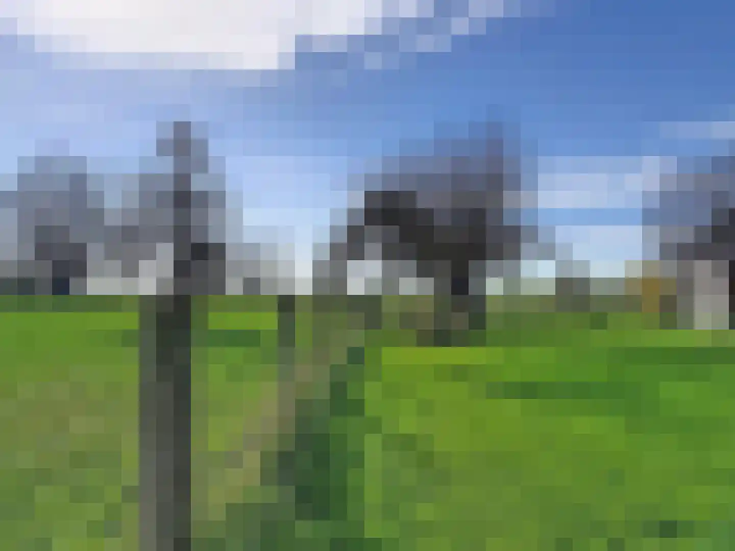 Isabellapolder 1 Aardenburg thumbnail 42