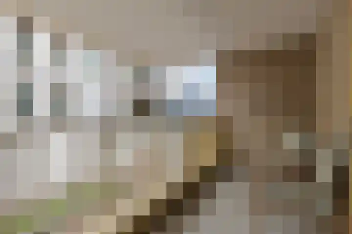 Isabellastraat 11 Breda thumbnail 5