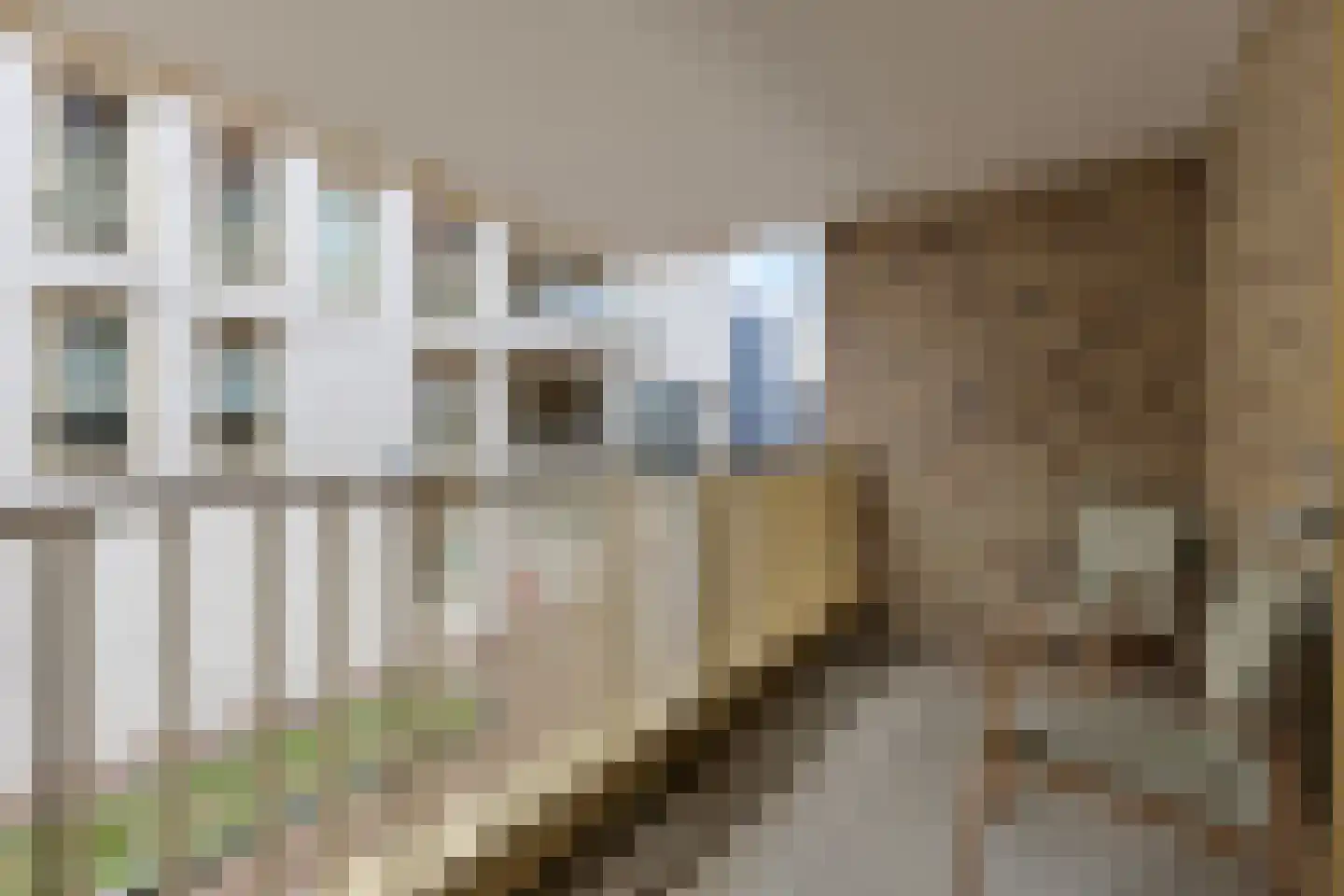 Isabellastraat 11 Breda thumbnail 5