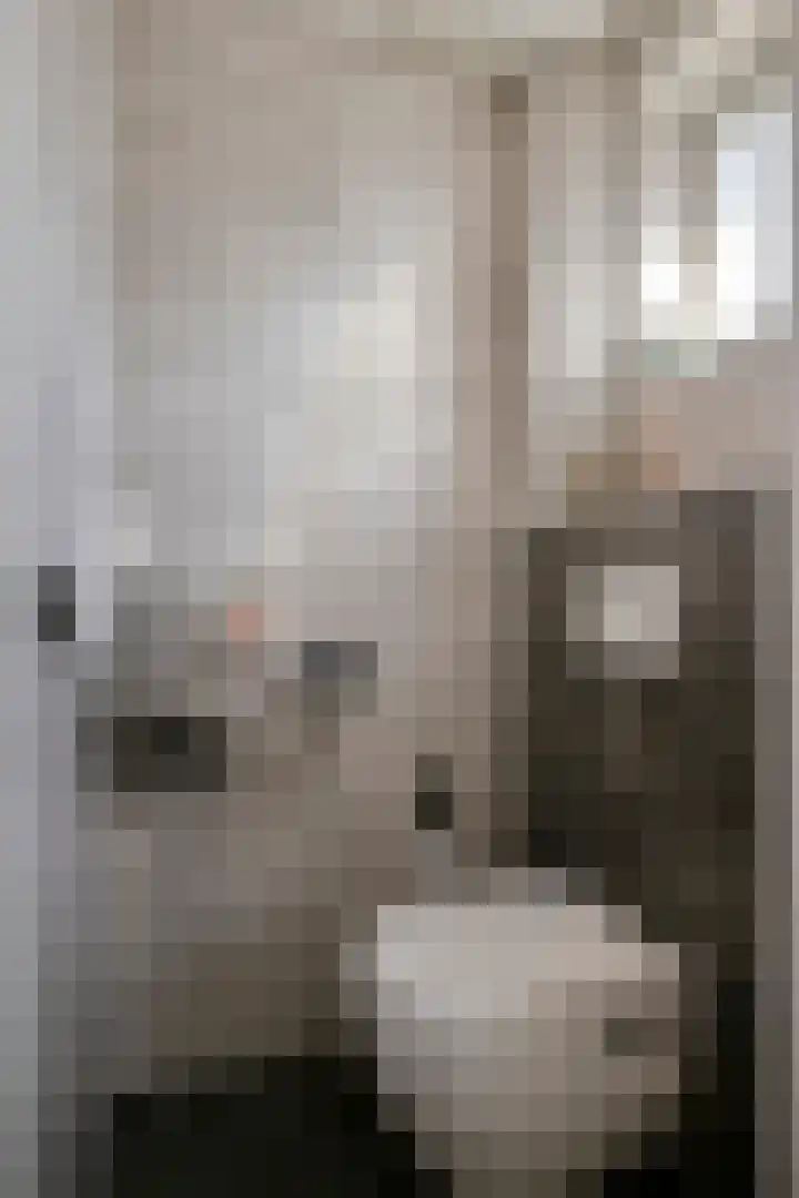 Isabellastraat 14 Oosterhout thumbnail 14
