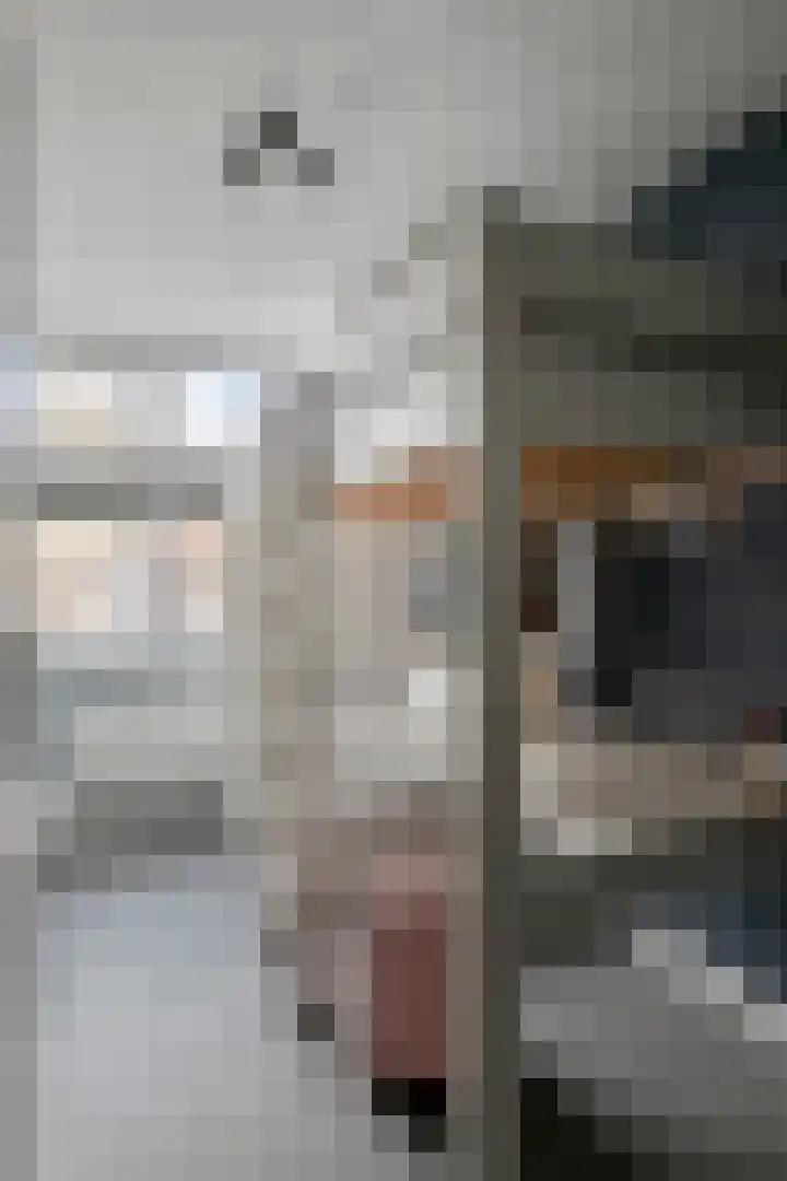 Isabellastraat 14 Oosterhout thumbnail 20