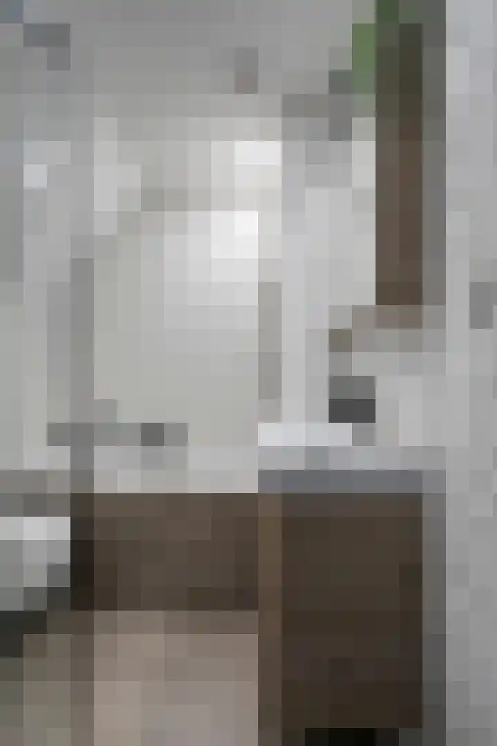 Isabellastraat 14 Oosterhout thumbnail 22