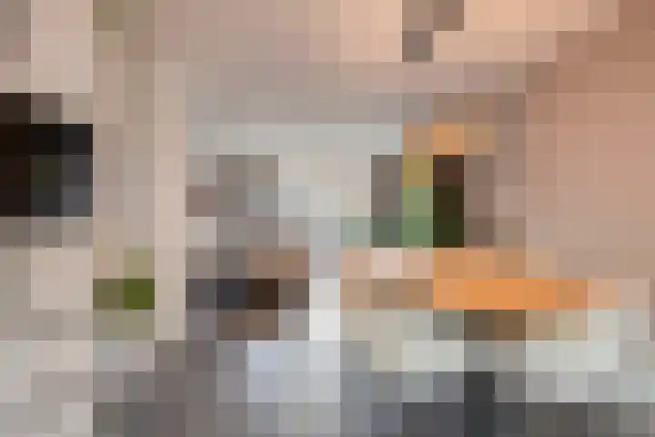 Isabellastraat 22 Oosterhout thumbnail 12