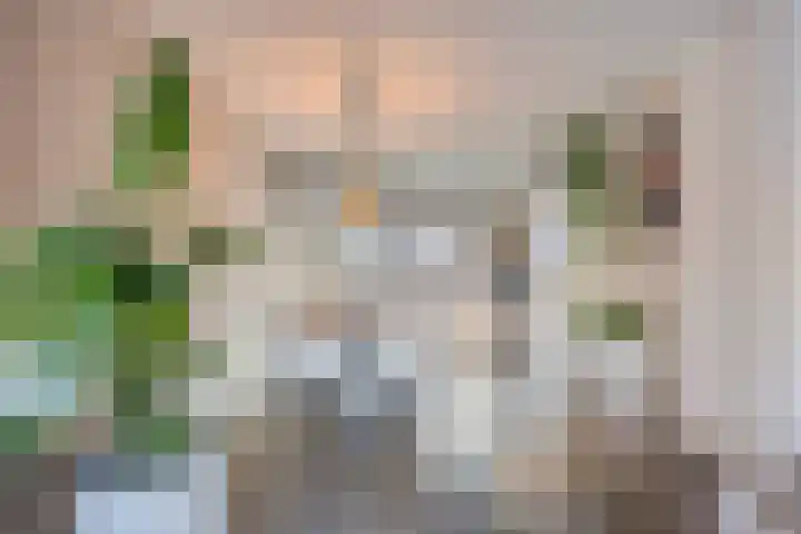 Isabellastraat 22 Oosterhout thumbnail 9