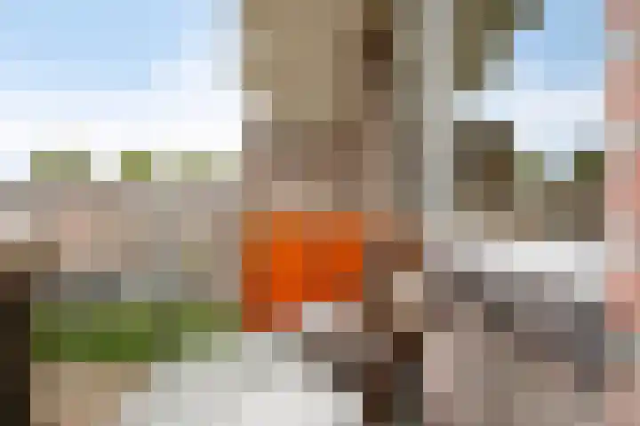 Isabellastraat 26 Eindhoven thumbnail 23