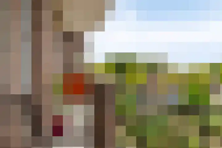 Isabellastraat 26 Eindhoven thumbnail 24