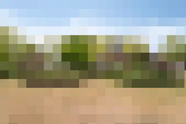 Isabellastraat 26 Eindhoven thumbnail 34