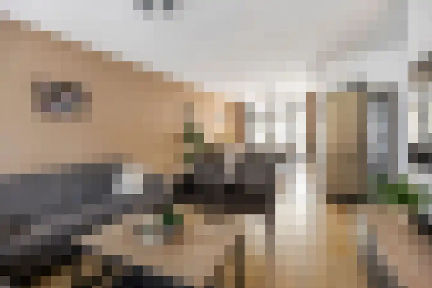 Isabellastraat 28 Echt thumbnail 12
