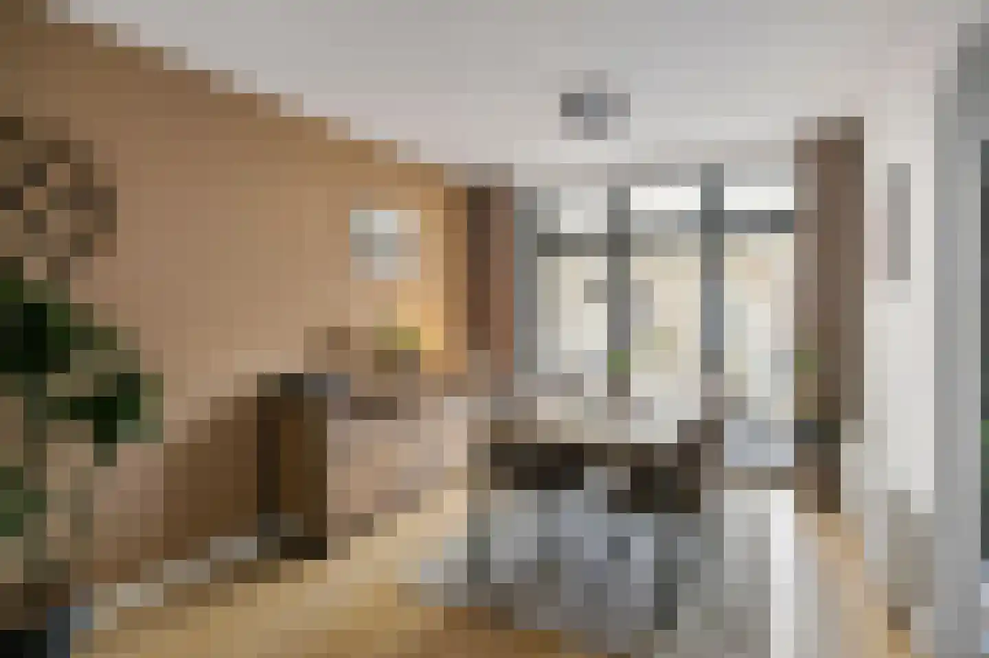 Isabellastraat 28 Echt thumbnail 18