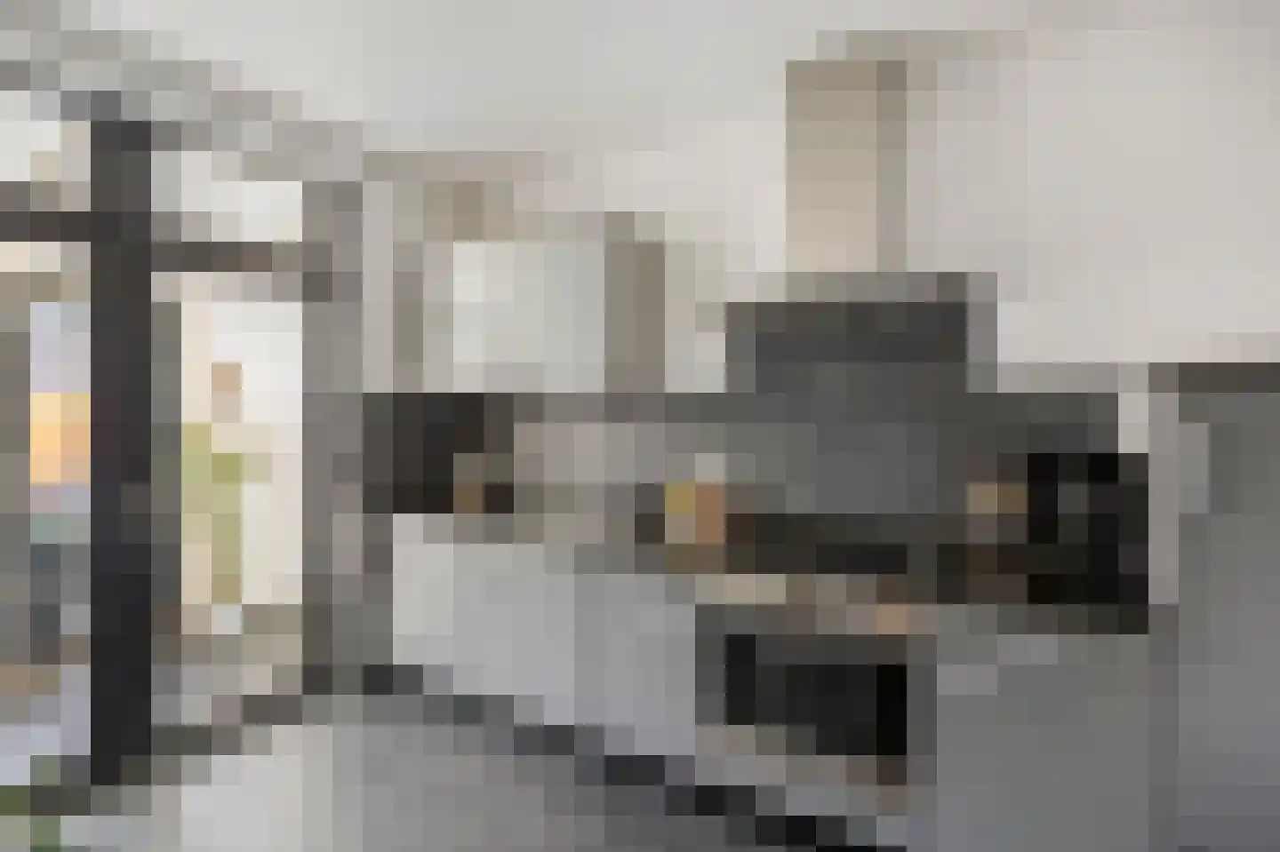 Isabellastraat 28 Echt thumbnail 21
