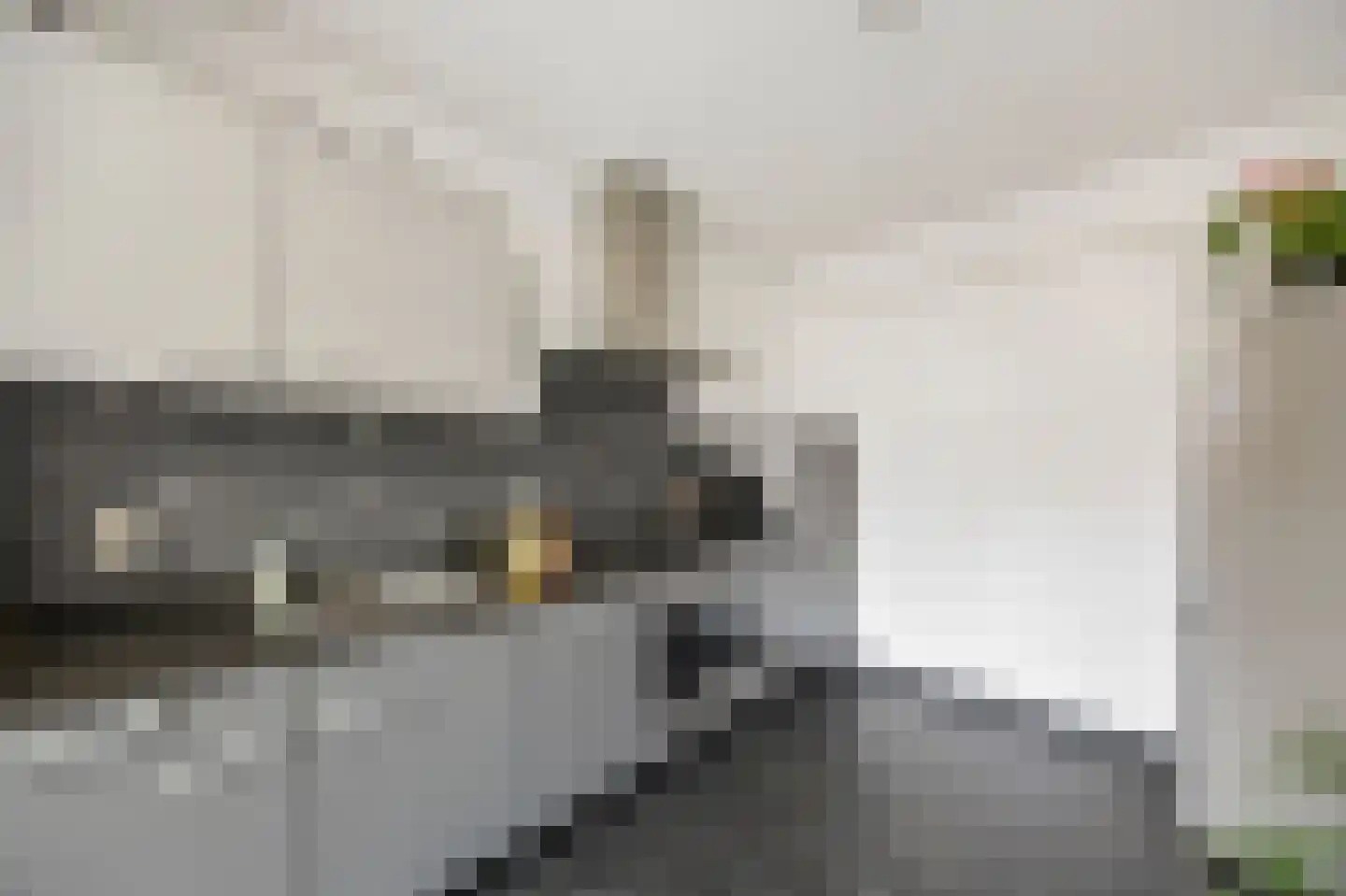 Isabellastraat 28 Echt thumbnail 23