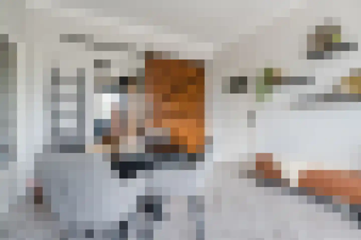 Isabellastraat 28 Eindhoven thumbnail 15