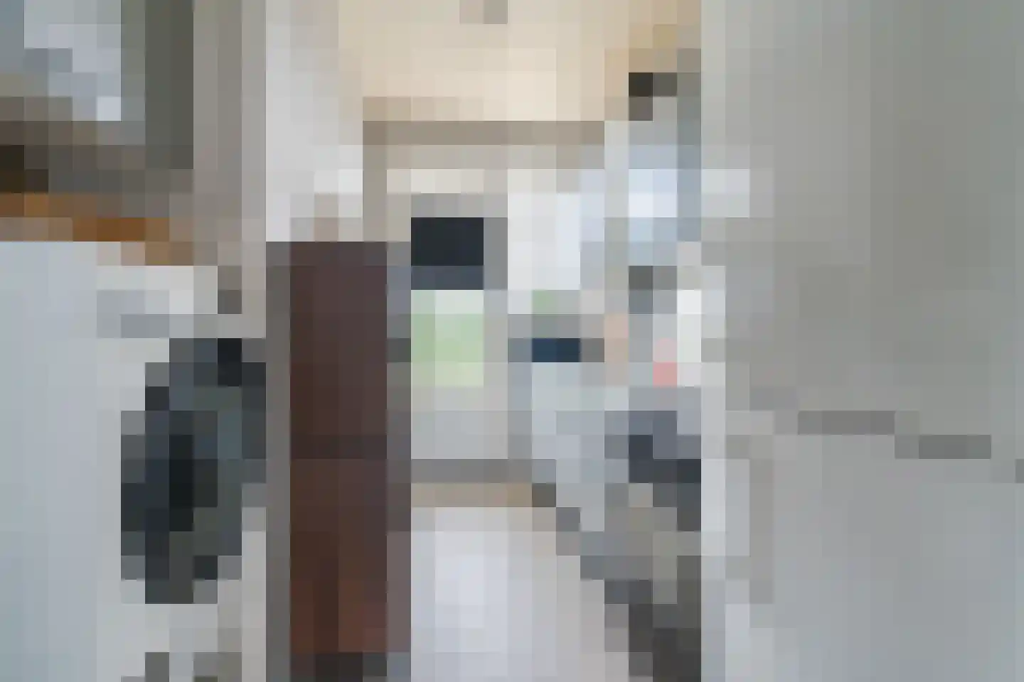 Isabellastraat 28 Eindhoven thumbnail 18