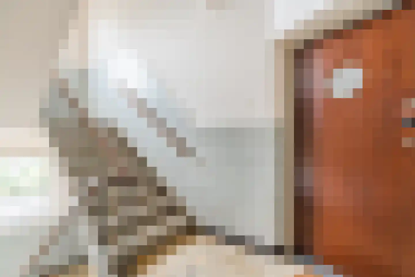 Isabellastraat 28 Eindhoven thumbnail 7