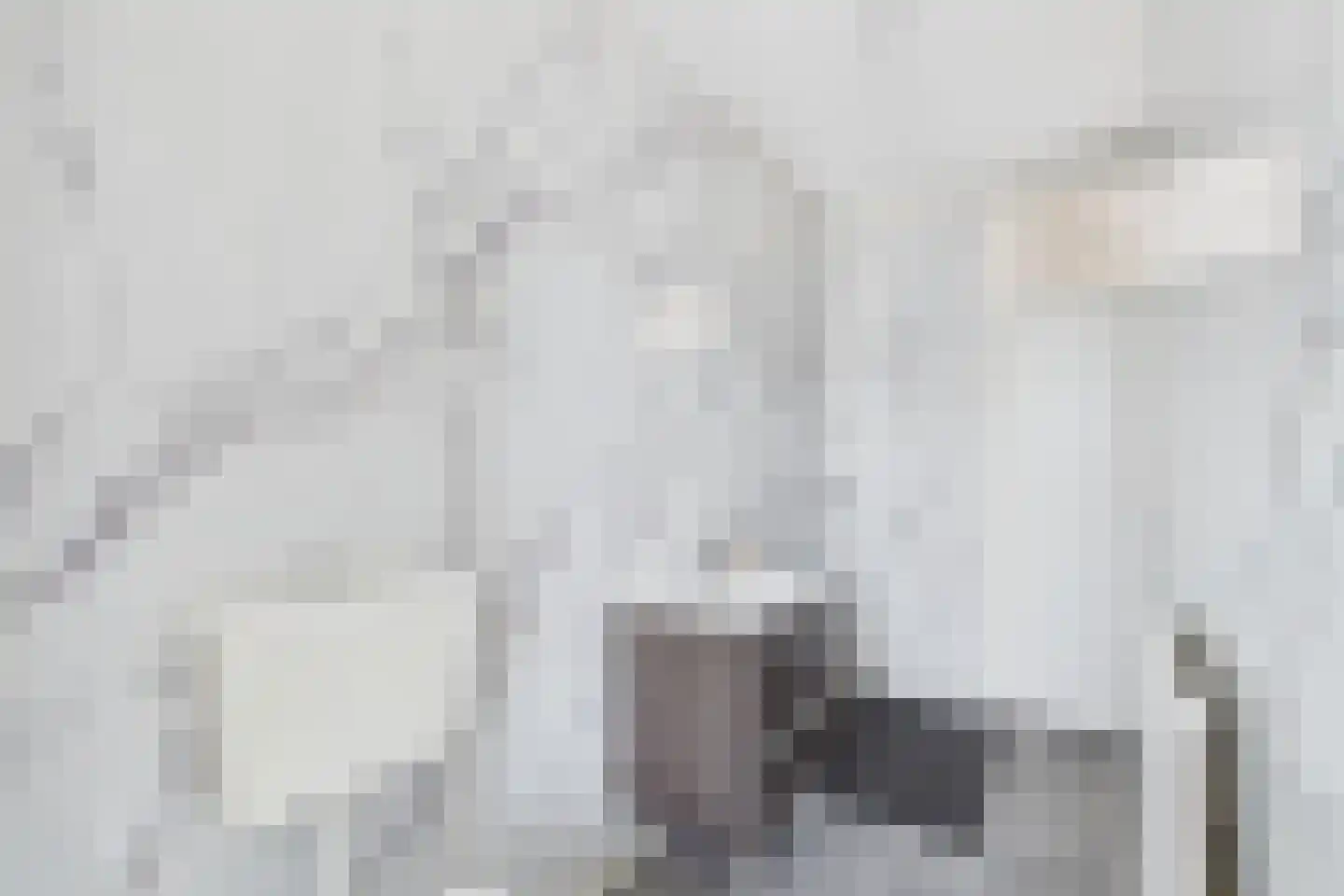 Isabellastraat 3 Sluiskil thumbnail 4