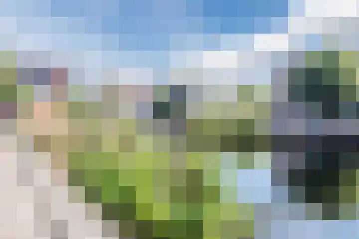 Isabellastraat 48 Breda thumbnail 34