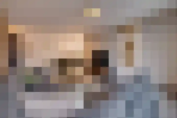 Isabellastraat 6 Echt thumbnail 13