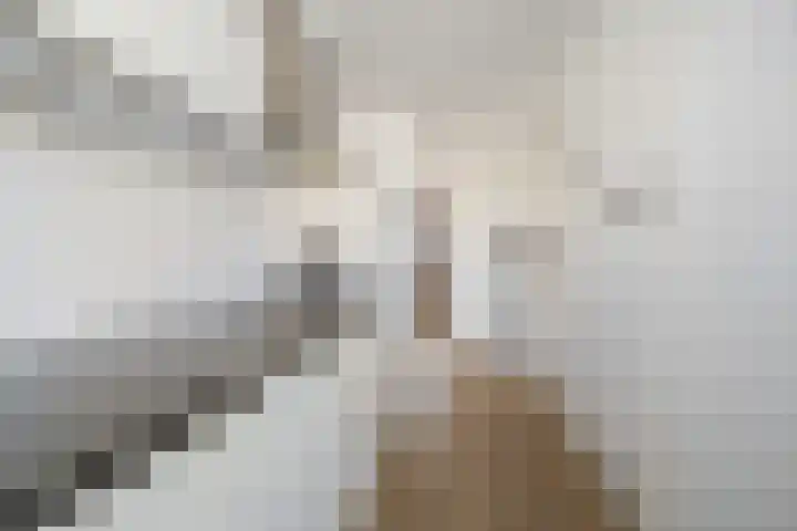 Isabellastraat 6 Echt thumbnail 18