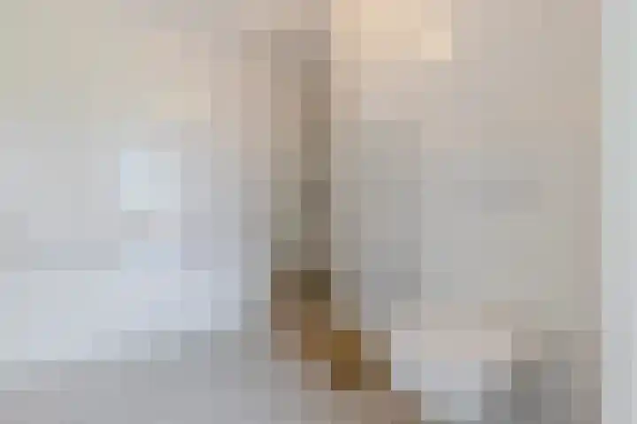 Isabellastraat 63 Breda thumbnail 34