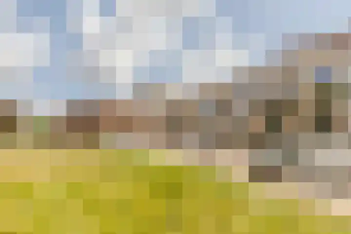 Isabellastraat 63 Breda thumbnail 8