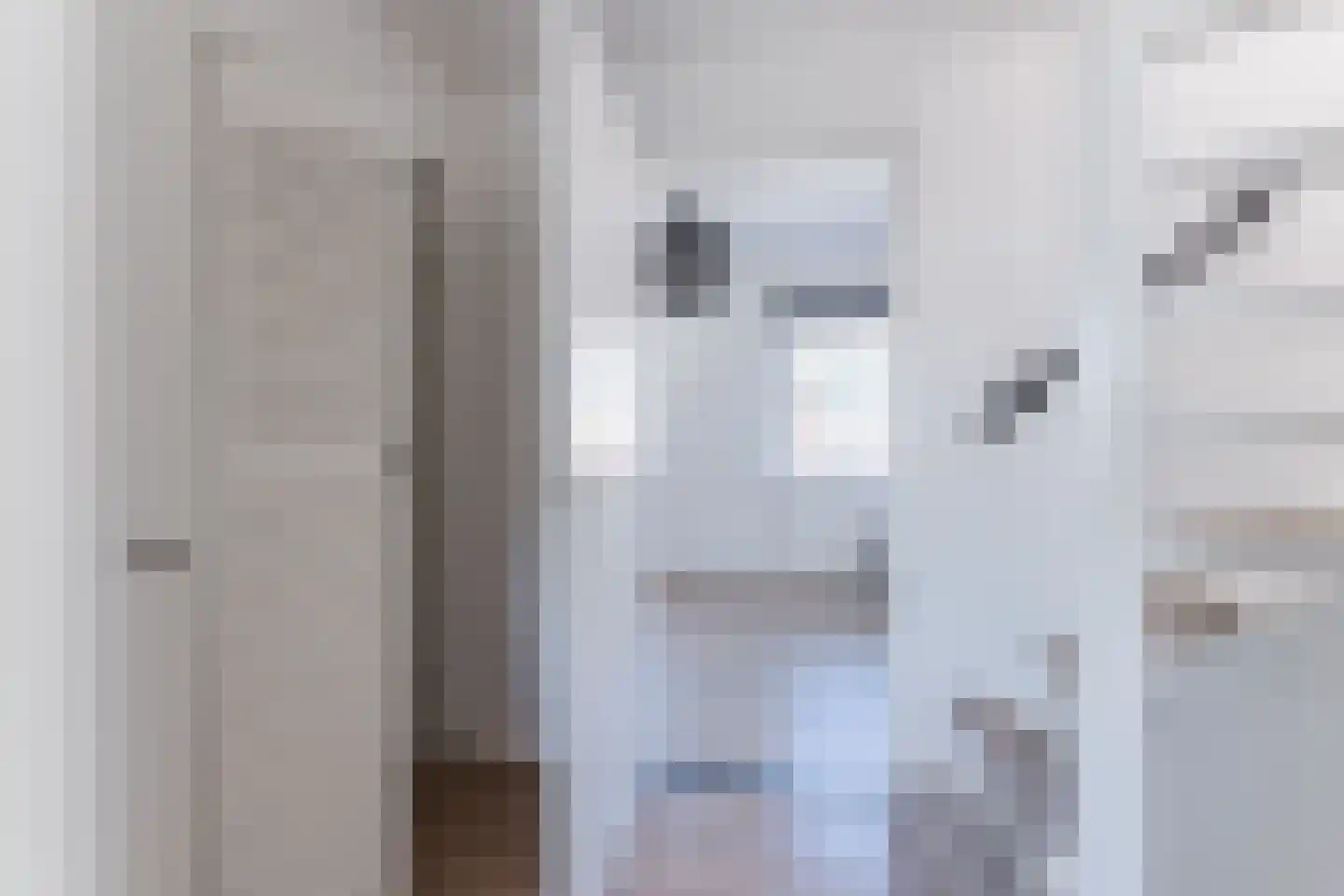 Isabellastraat 63 Oosterhout thumbnail 25