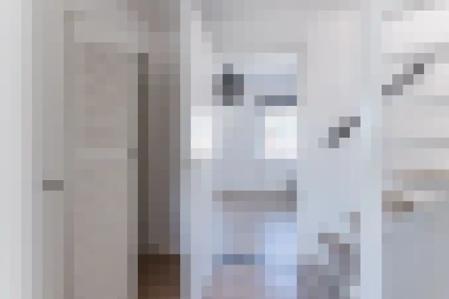 Isabellastraat 63 Oosterhout thumbnail 25
