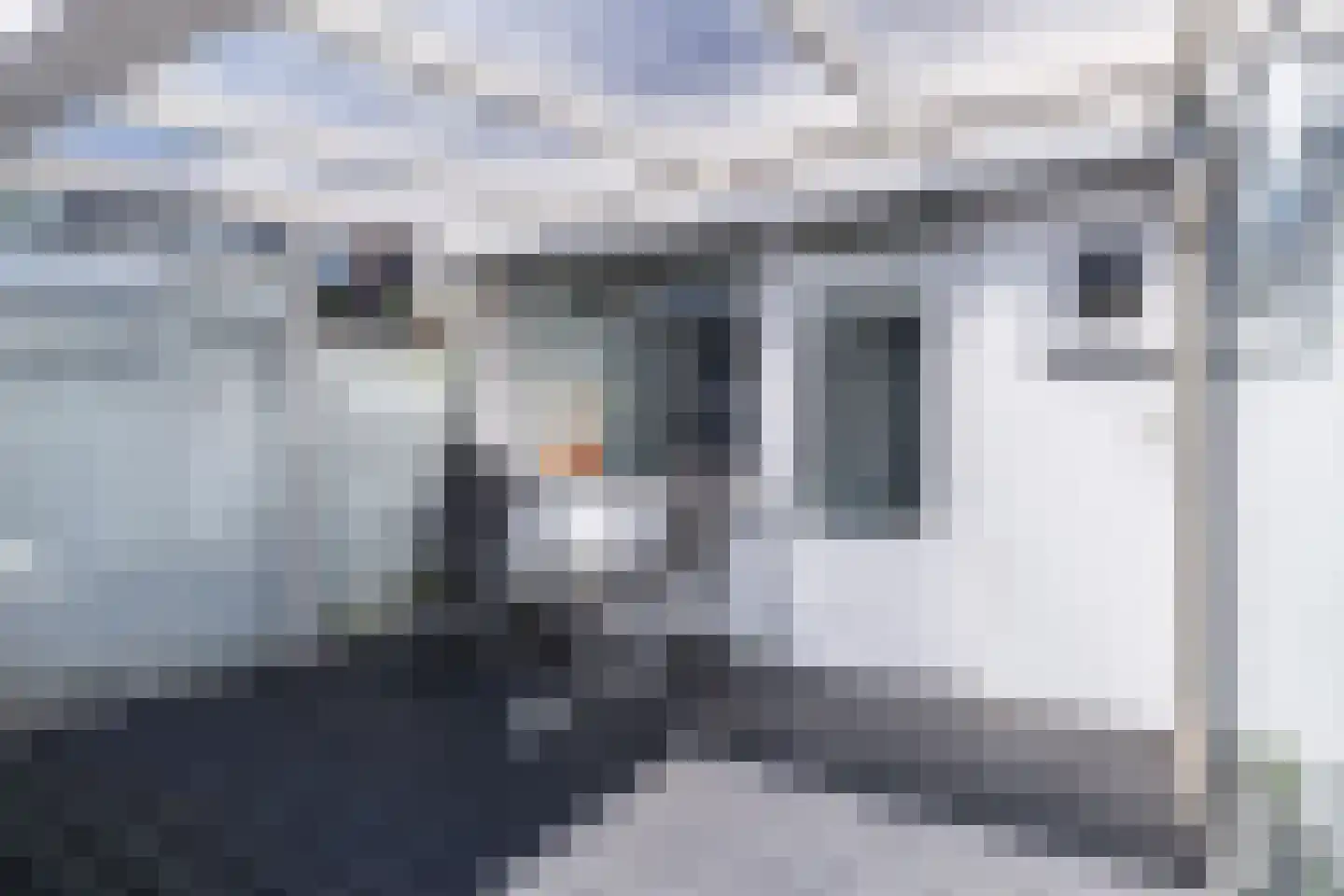 Isabellastraat 63 Oosterhout thumbnail 29
