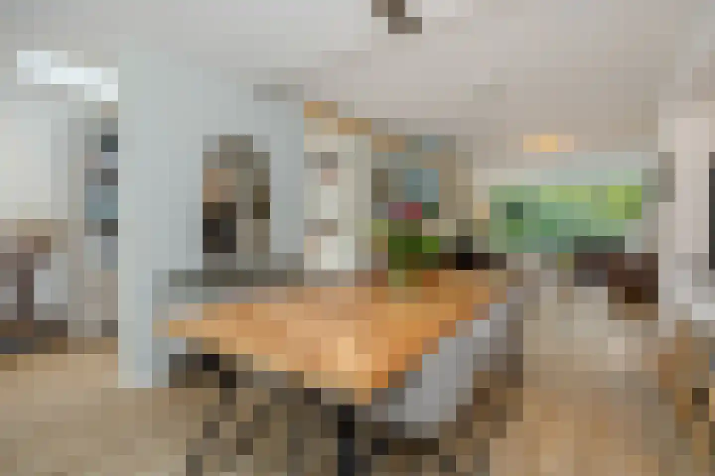 Isabellastraat 7 Vught thumbnail 10