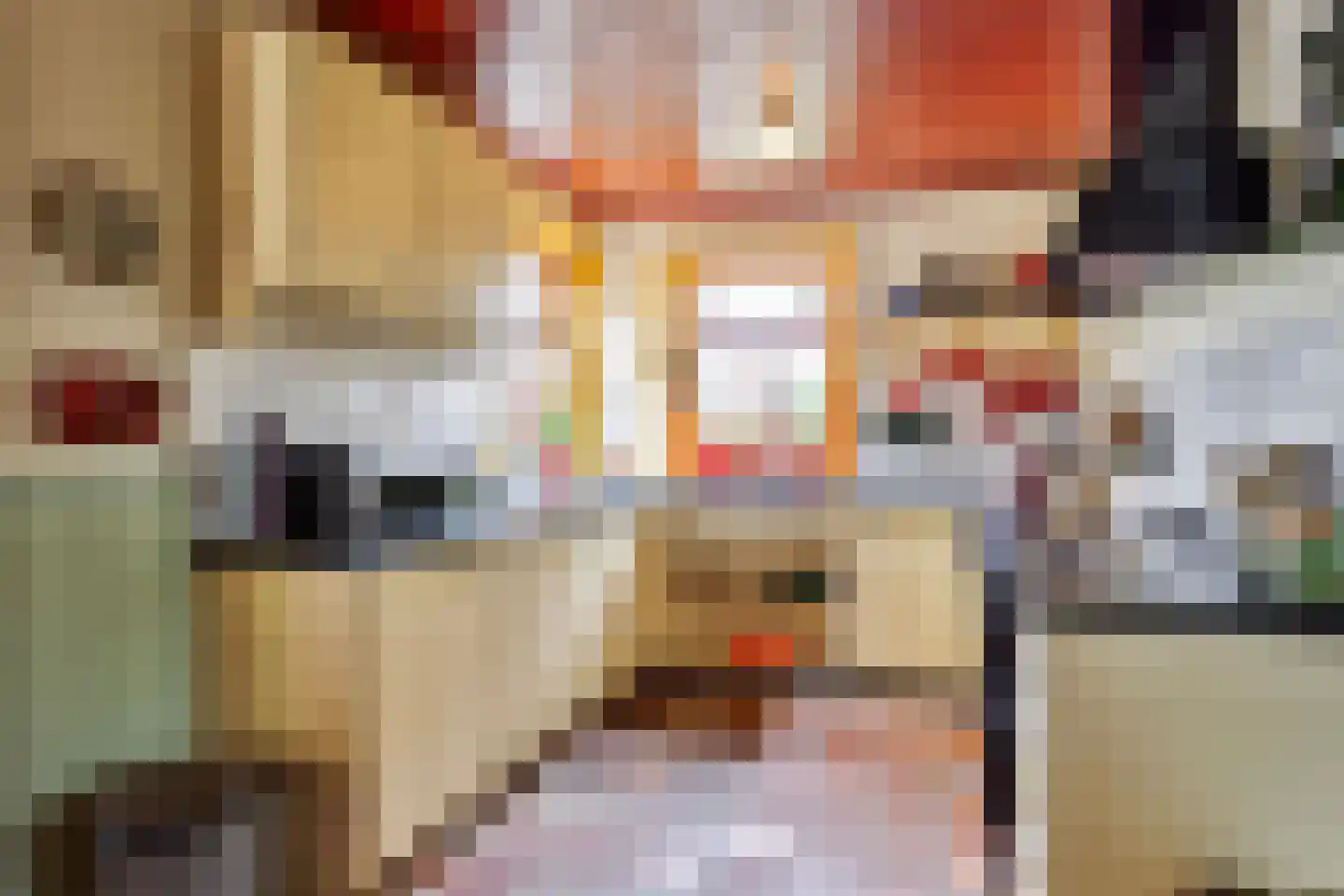 Isabellaweg 16 IJzendijke thumbnail 19
