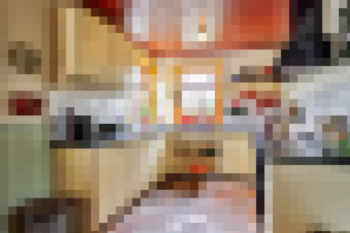 Isabellaweg 16 IJzendijke thumbnail 20