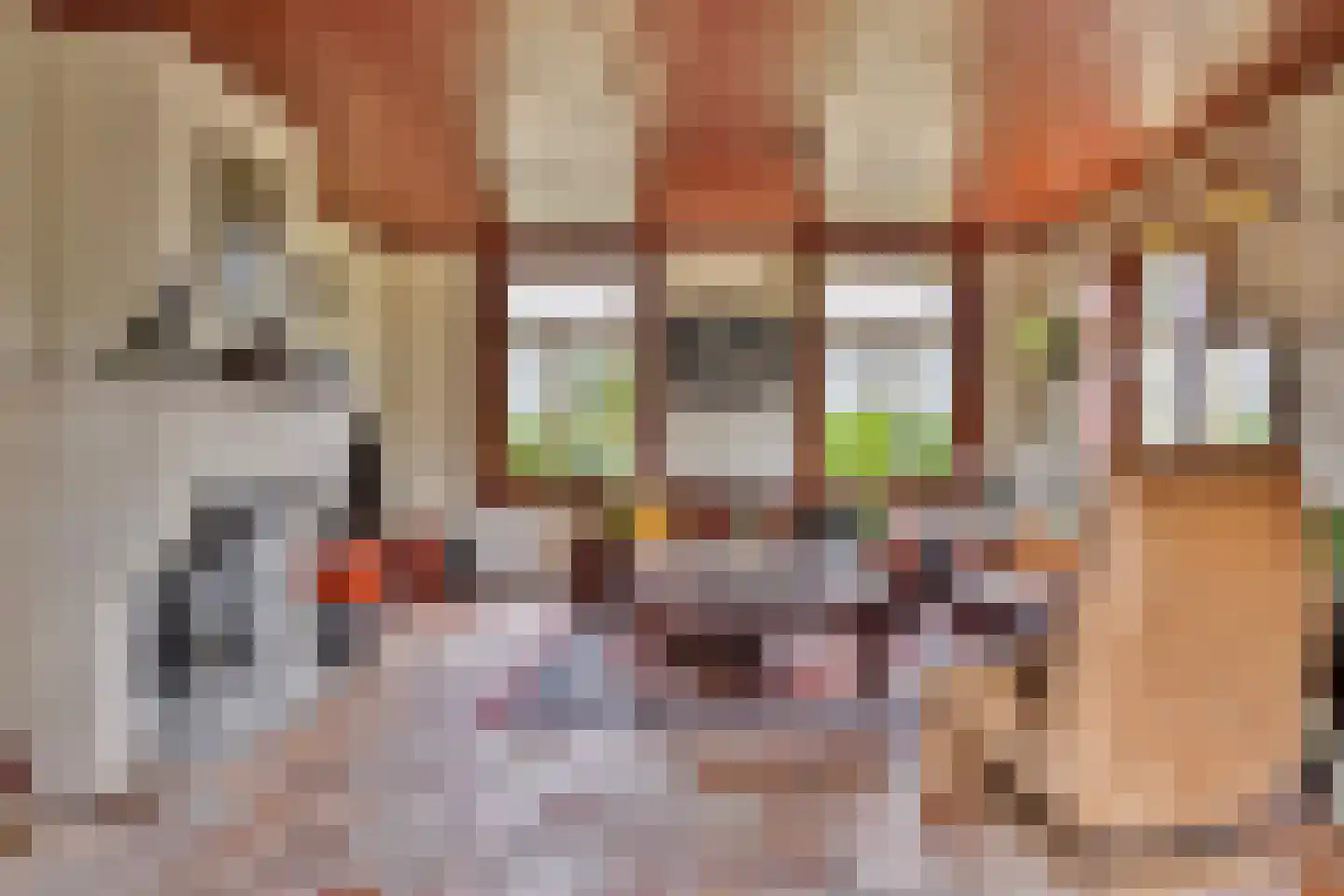 Isabellaweg 16 IJzendijke thumbnail 23