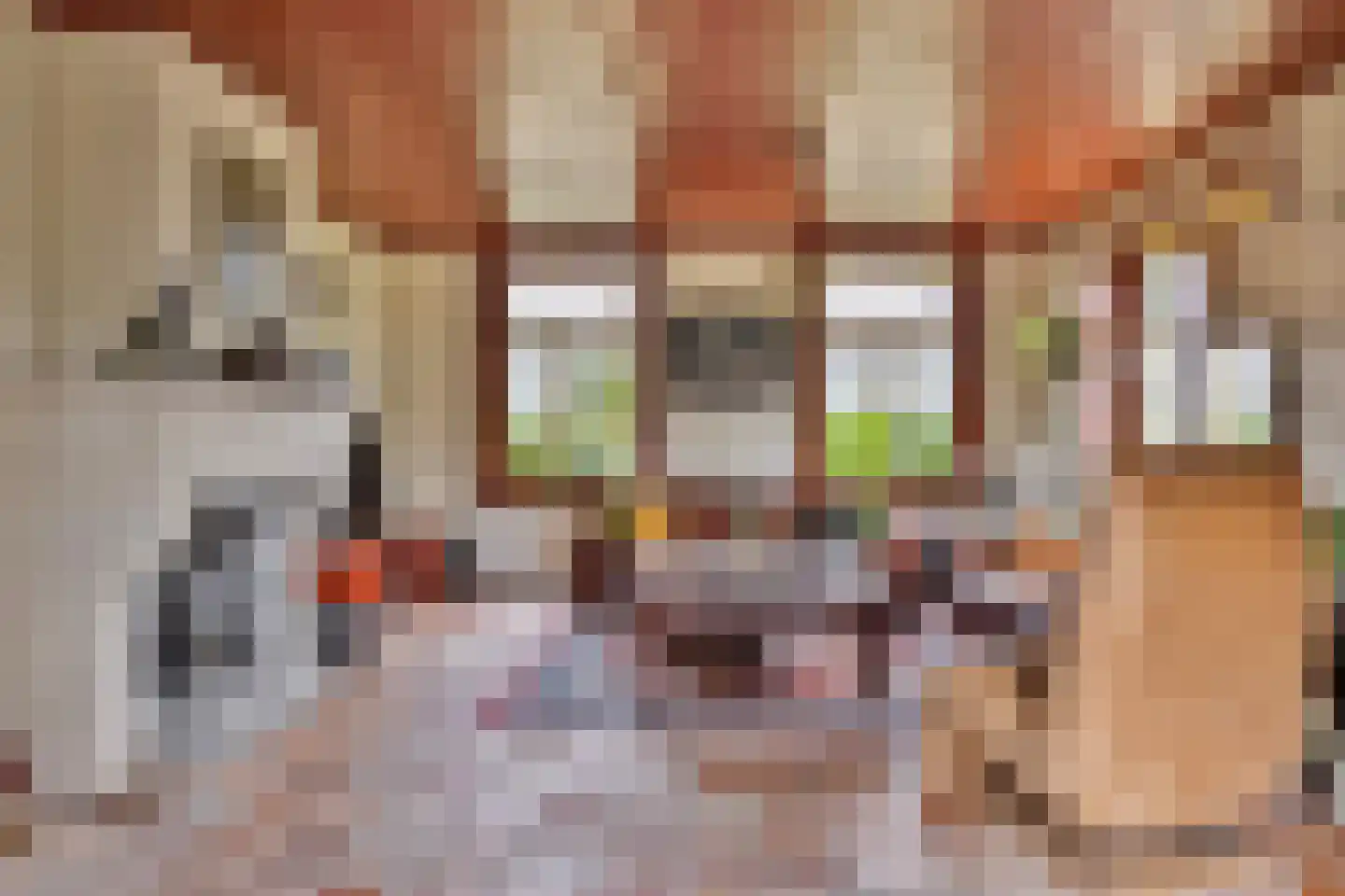Isabellaweg 16 IJzendijke thumbnail 24