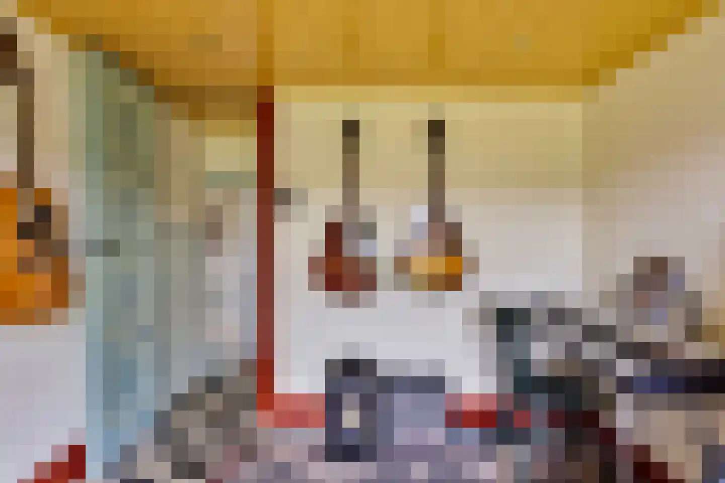 Isabellaweg 16 IJzendijke thumbnail 27