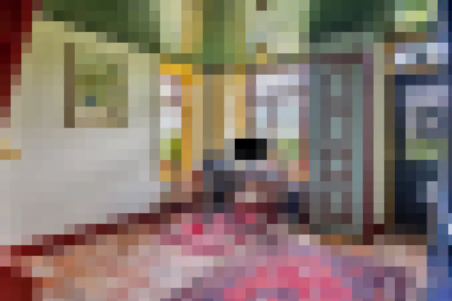 Isabellaweg 16 IJzendijke thumbnail 29