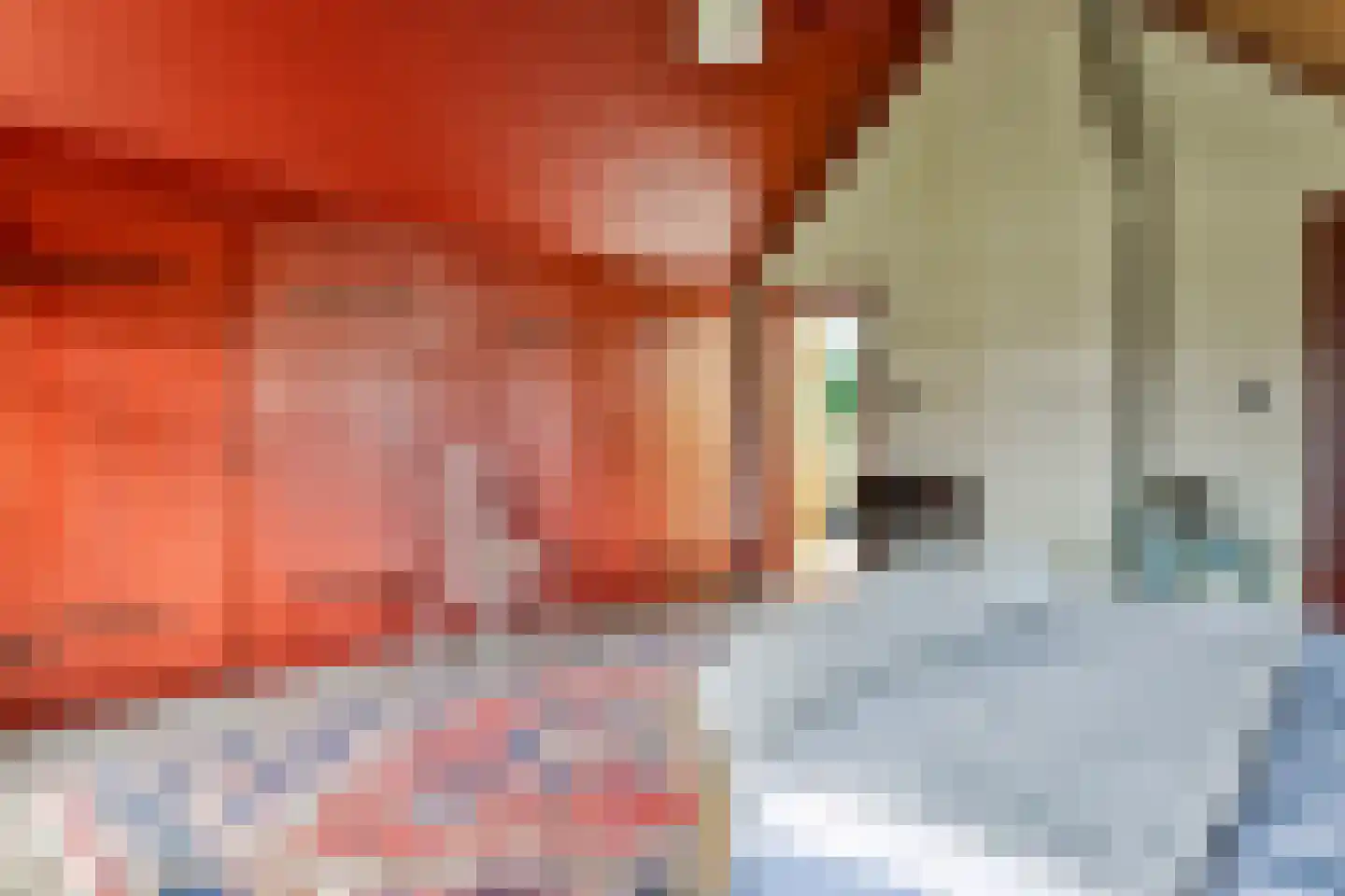 Isabellaweg 16 IJzendijke thumbnail 35