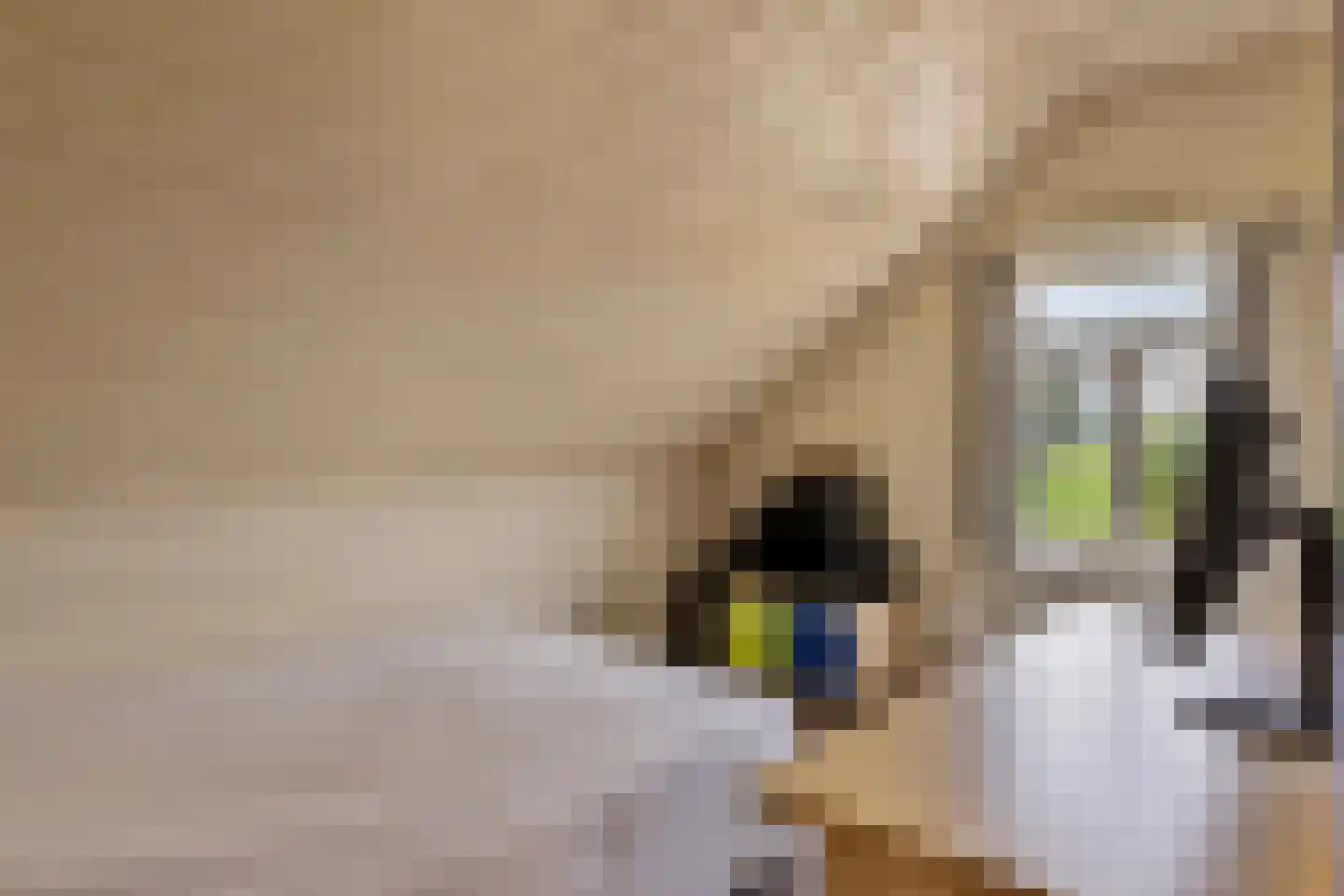 Isabellaweg 16 IJzendijke thumbnail 37