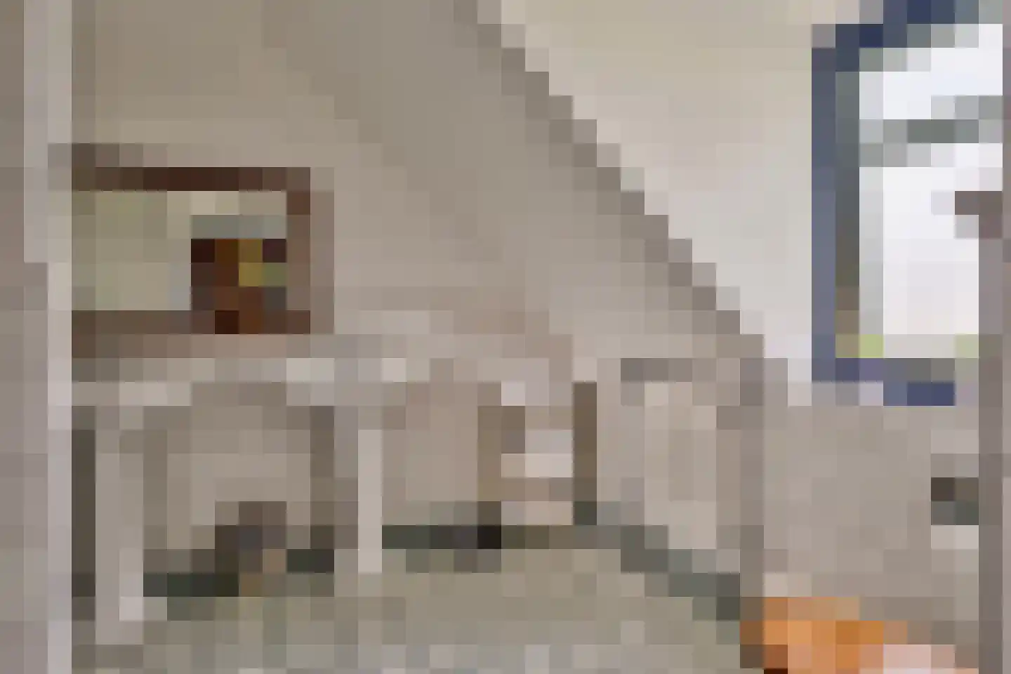 Isabellaweg 16 IJzendijke thumbnail 39
