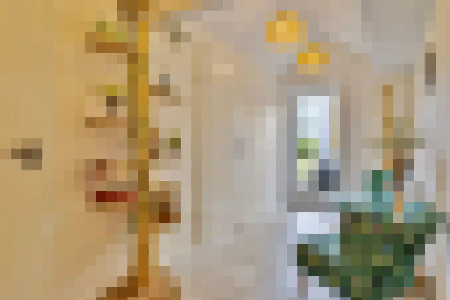 Isabellaweg 16 IJzendijke thumbnail 41