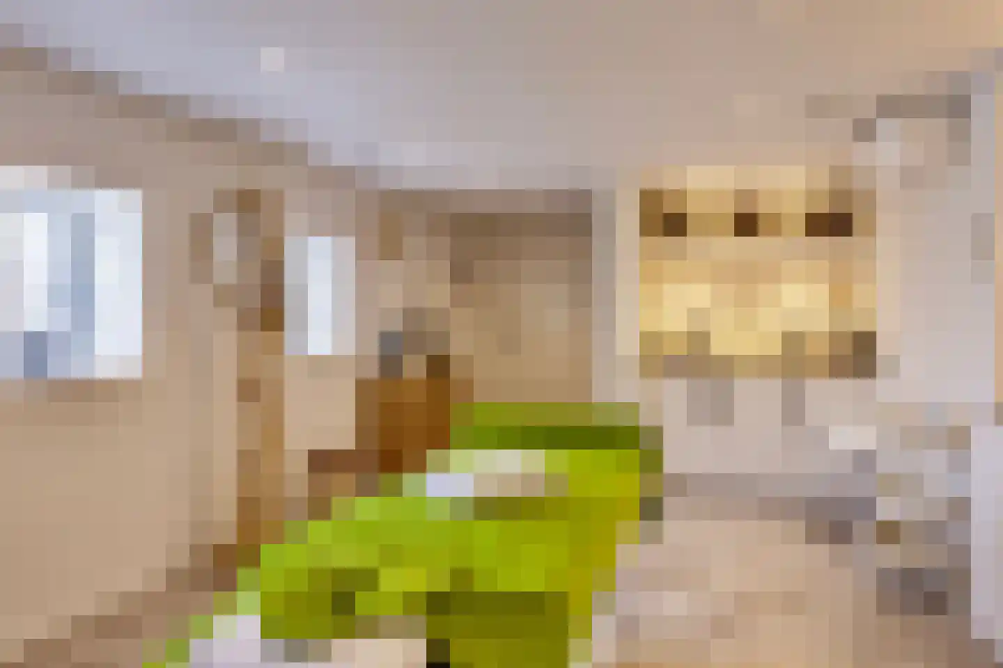 Isabellaweg 16 IJzendijke thumbnail 46