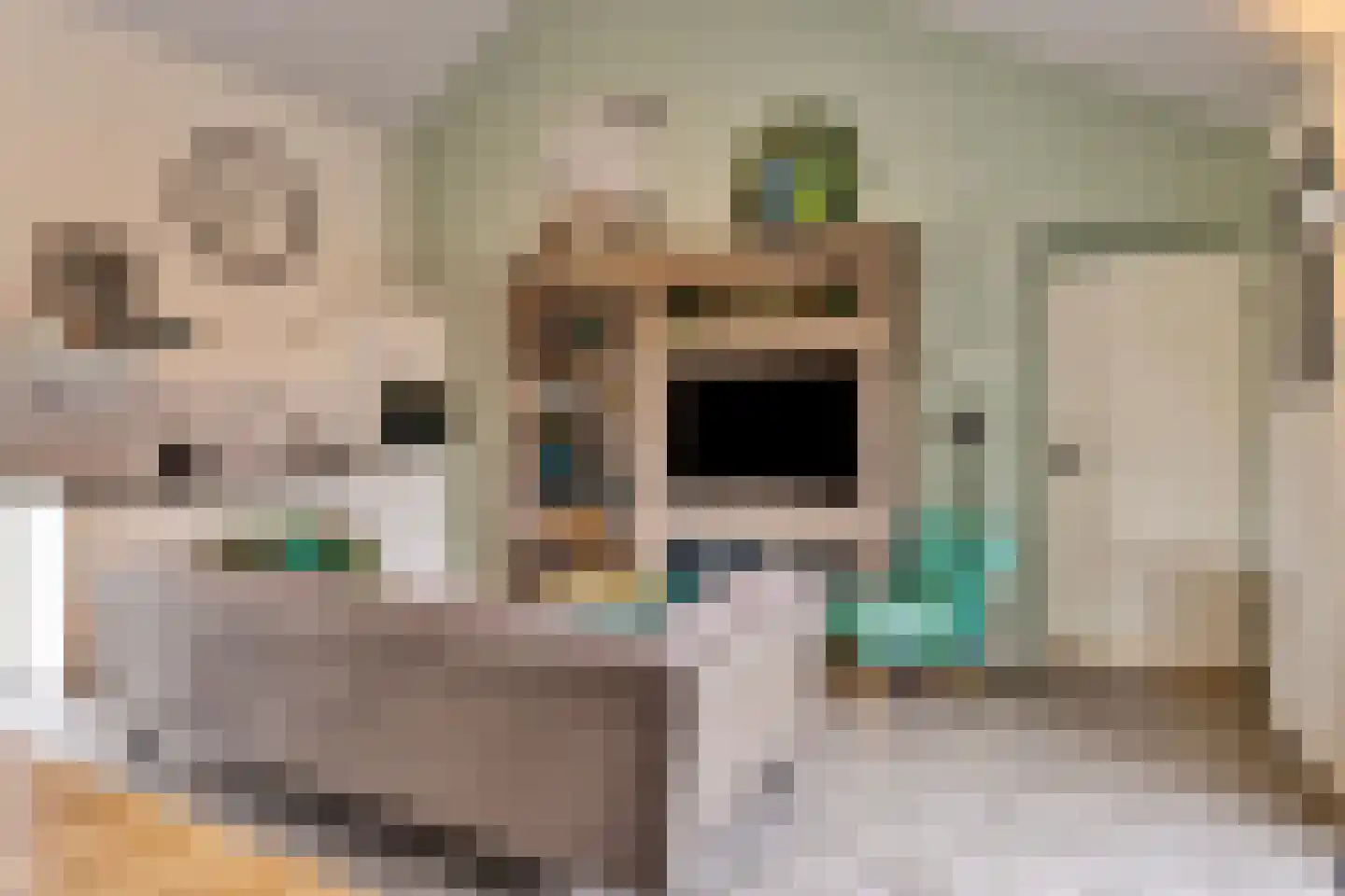 Isabellaweg 16 IJzendijke thumbnail 47