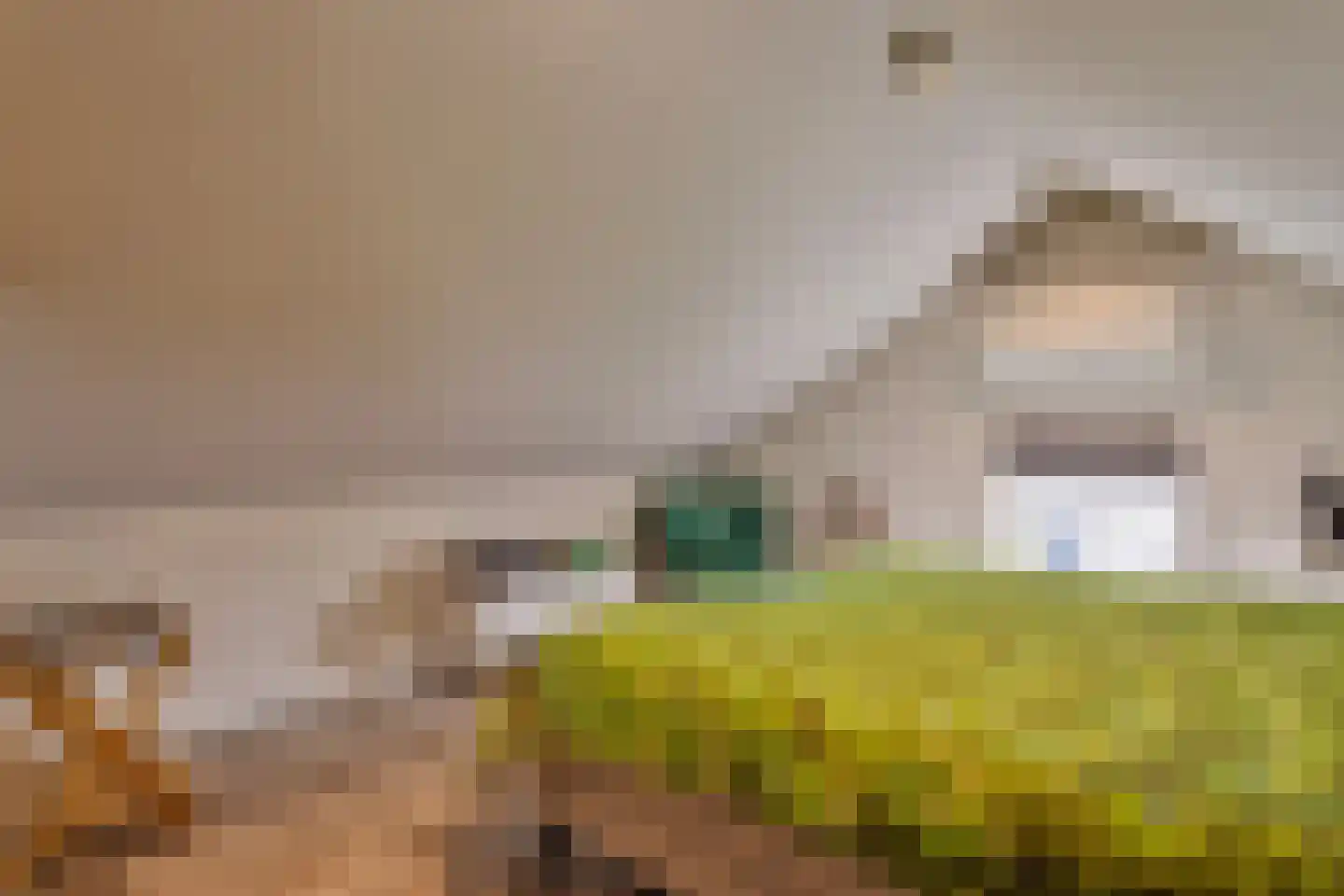 Isabellaweg 16 IJzendijke thumbnail 53