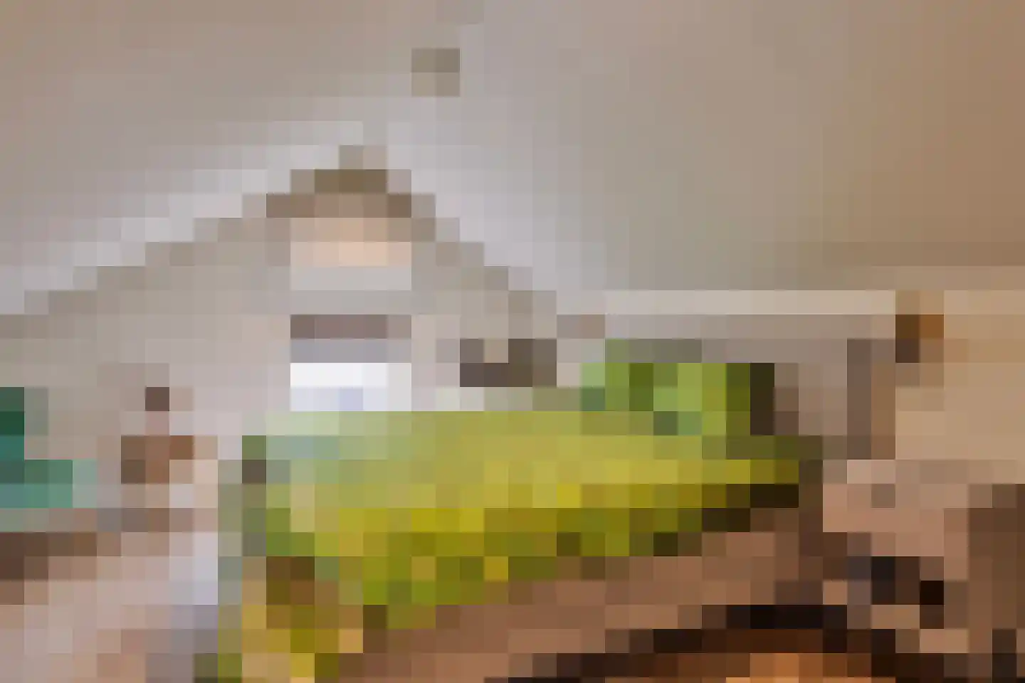 Isabellaweg 16 IJzendijke thumbnail 53