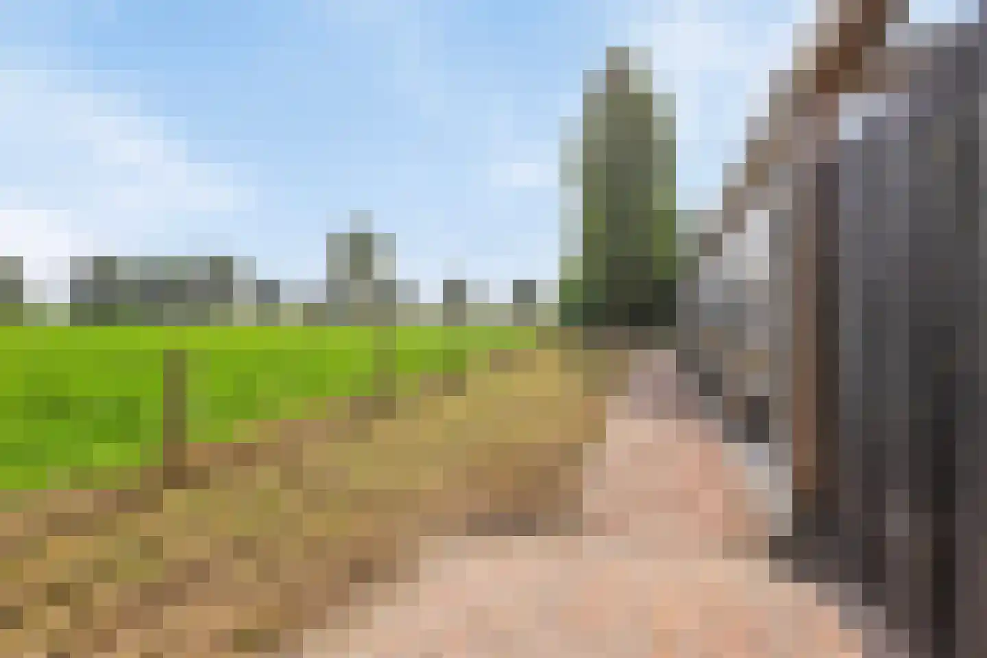 Isabellaweg 16 IJzendijke thumbnail 60